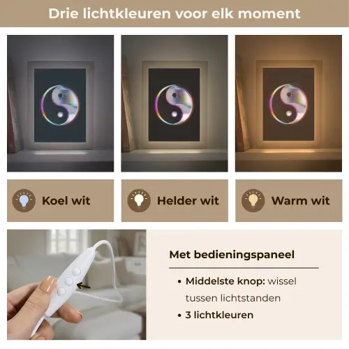 Yin-Yang - Cirkel - Regenboog Light Box met kabel (Tafellamp) klein -USP_lichtkleurNL