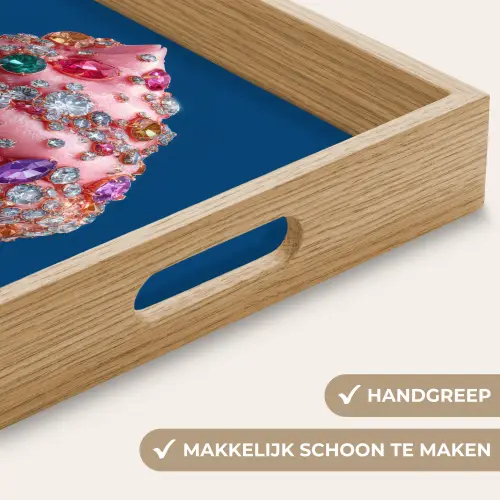 Ijsje - Hoorntje - Steentjes - Blauw Dienblad Rechthoek middel -USP_HandgreepNL