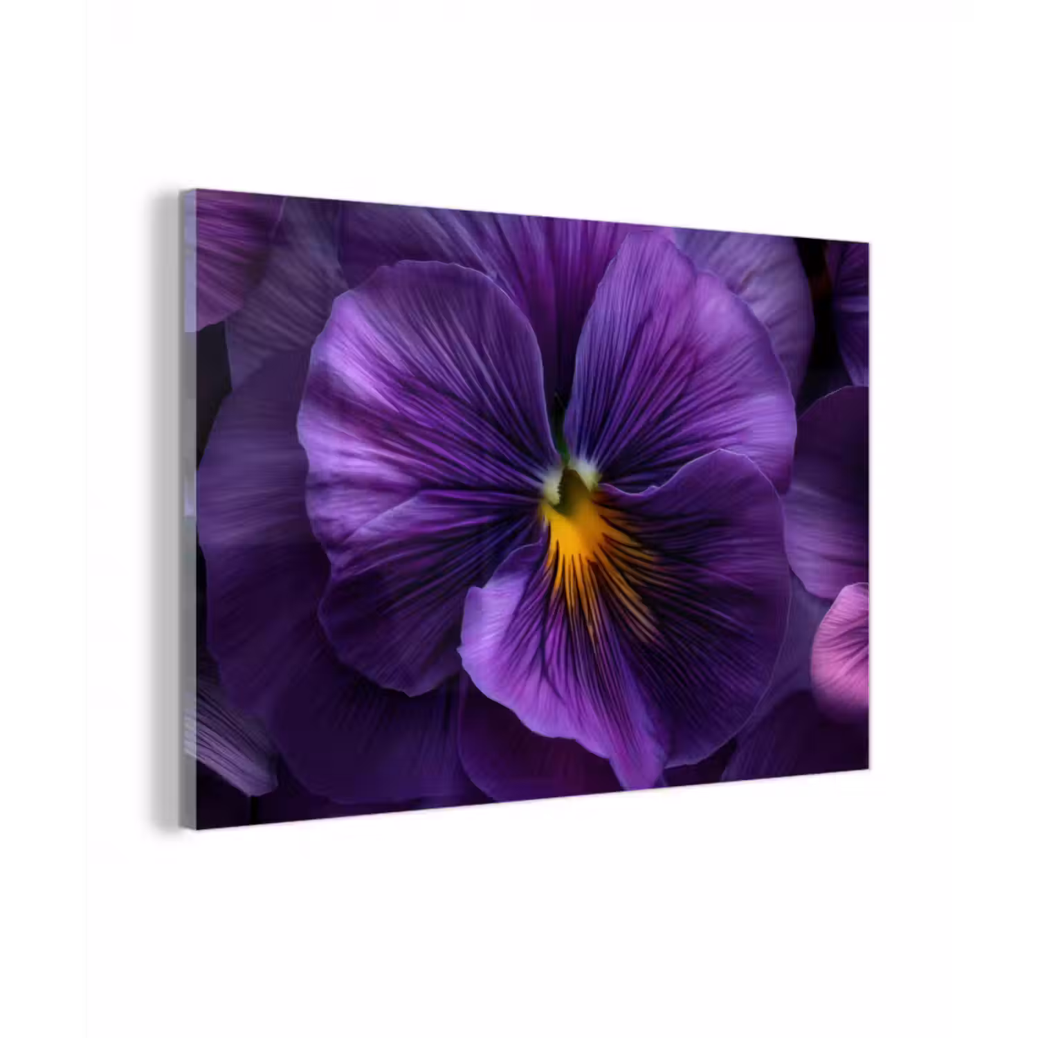 Glasbild - Lila - Violine - Tiefe