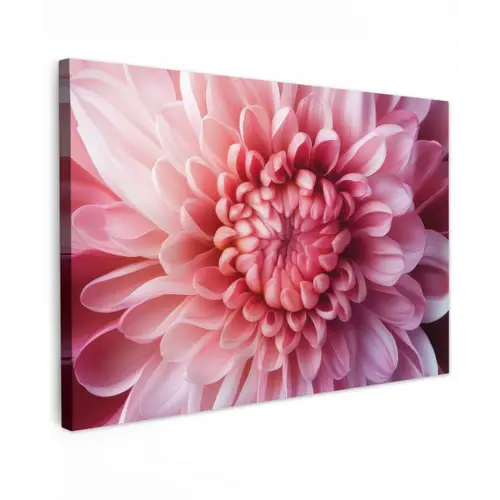 Dahlia - Bloem - Close up - Roze Tuinposter op houten frame 2 cm dik klein -3d