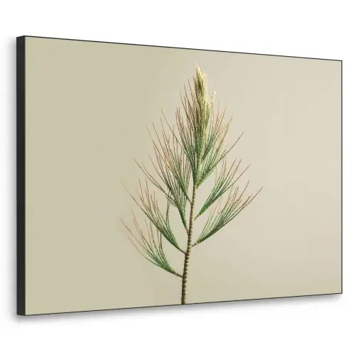 Dennentak - Naaldvormige bladeren - Lichtgroen Textielframe zwart klein -3d