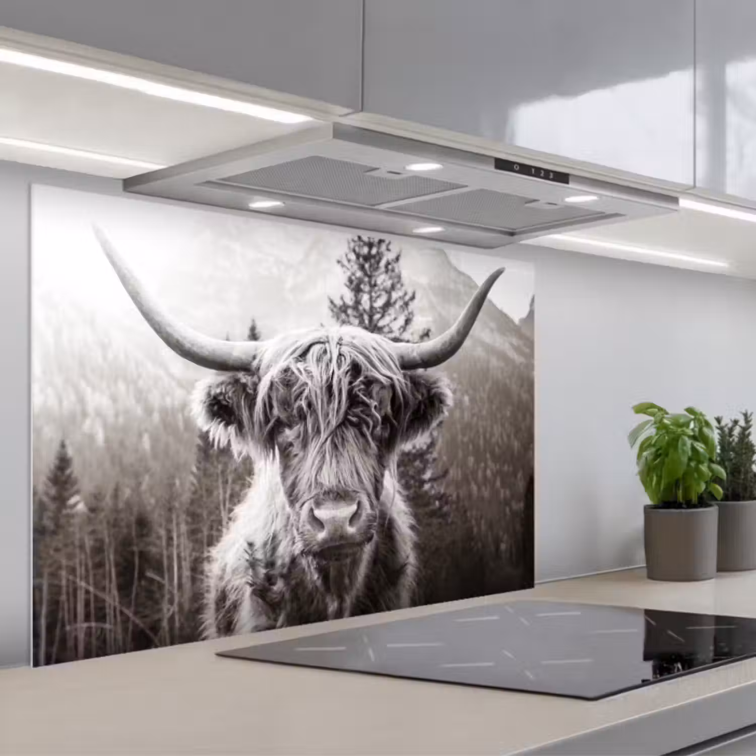 Spatscherm keuken - Schotse hooglander - Koe - Dieren - Zwart - Wit
