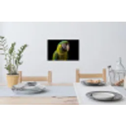 Ara - Portret - Groen Muursticker klein -eettafel