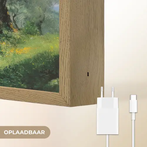 Pad - Bomen - Schaduw - Light Box met batterij (Wandlamp) middel -USP_websiteoplaadbaarNL