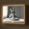 Konijn - Bunny - Zonnebril - Tafelkleed - Pasta - Schattig Light Box met batterij (Wandlamp) middel -z3d_website