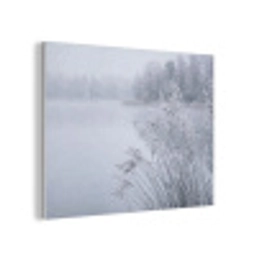 Riet - Bevroren - Winter - Natuur PET vilt klein -3d