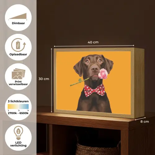 Hond - Oranje - Roos - Valentijn Light Box met batterij (Wandlamp) middel -USP_websiteoverzichtNL