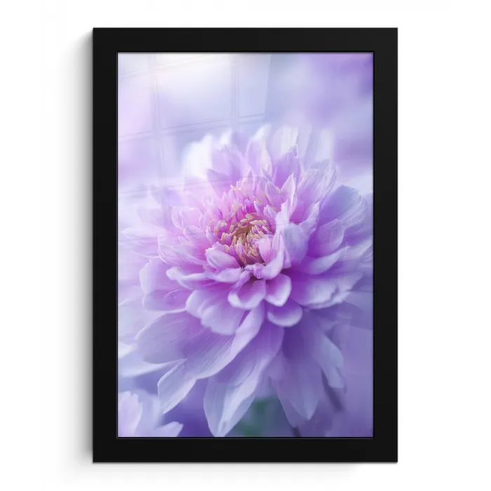 Paars - Dahlia - Dromerig fotolijst zwart zonder passe partout klein -3d