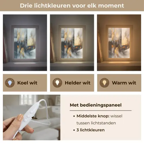 Kunst - Goud - Zilver - Abstract Light Box met kabel (Tafellamp) klein -USP_lichtkleurNL