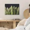 Asperges - Groen - Zwart PET vilt klein -sfeer3