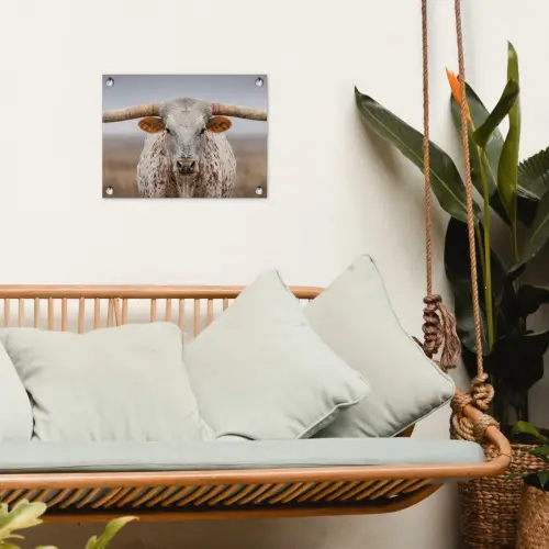 Longhorn - Grasveld - Dier tuinposter los doek klein -sfeer7