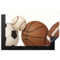 Sport - Ballen - Illustratie Inductie beschermer vinyl 3mm klein -3d