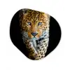 Luipaard - Dieren - Portret - Wilde dieren - Zwart Wandcirkel Organisch Forex 3mm klein -3d