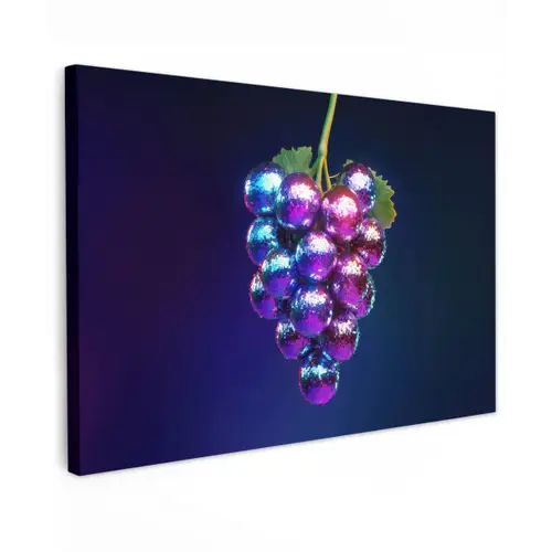 Paars - Disco - Feest - Druif Tuinposter op houten frame 2 cm dik klein -3d