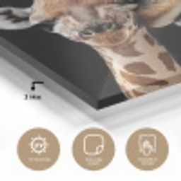 Giraffe - Dieren - Zwart - Portret - Dieren plexiglas 5mm klein -sfeer2