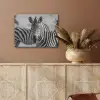 Zebra's - Zwart - Wit PET vilt klein -sfeer4