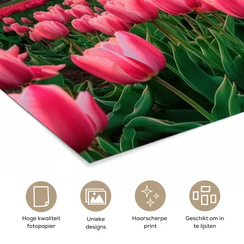 Tulpen - Molen - Nederland poster papier klein -closeup_NL
