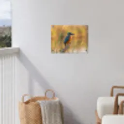 IJsvogel - Tak - Water - Kleurrijk - Levendig tuinposter los doek klein -sfeer8