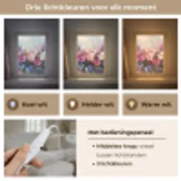 Bloemen - Kleurrijk - Bloei Light Box met kabel (Tafellamp) klein -USP_lichtkleurNL