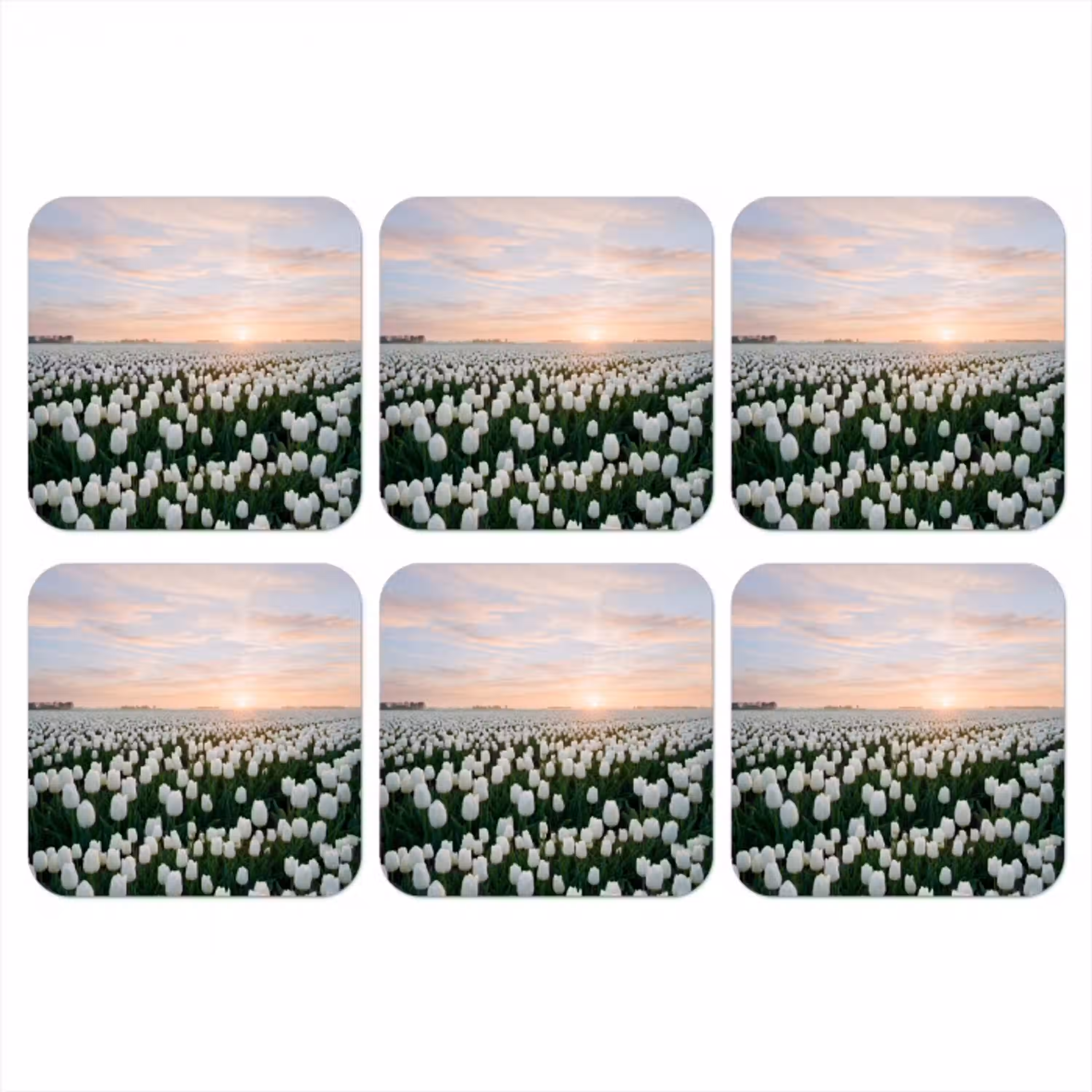 Tulpen - Landschap - Wit onderzetter kurk middel -3d