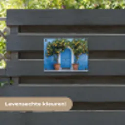 Citroenbomen - Geel - Deur - Potten tuinposter los doek klein -sfeer3