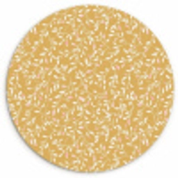 Takjes - Patroon - Oker Wandcirkel kunststof plaat 5mm dik klein 188 -3d