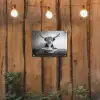 Schotse Hooglander - Spaghetti - Dieren - Zwart wit tuinposter los doek klein -sfeer1