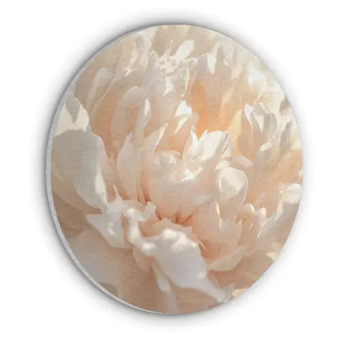 Close up - Pioenroos - Lichtroze Akoestische PET Vilt - Rond klein -3d