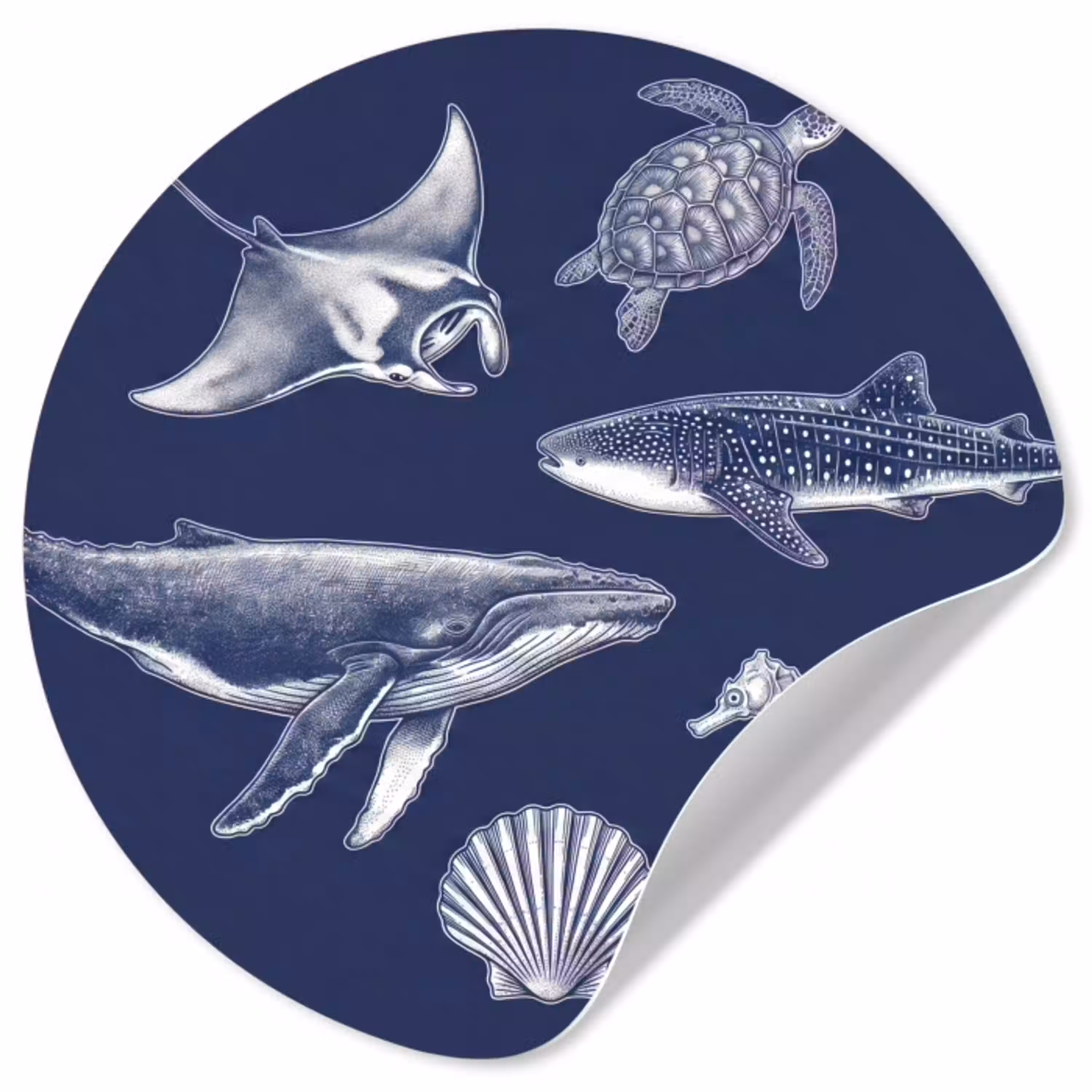 Dieren - Zeeleven - Oceaan - Graveren - Blauw Wandcirkel behangsticker klein -3d