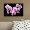 Orchidee - Bloemen - Roze - Flora canvas 2cm klein -sfeer3