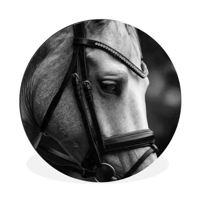 Paard - Schimmel - Portret Wandcirkel aluminium klein -3d