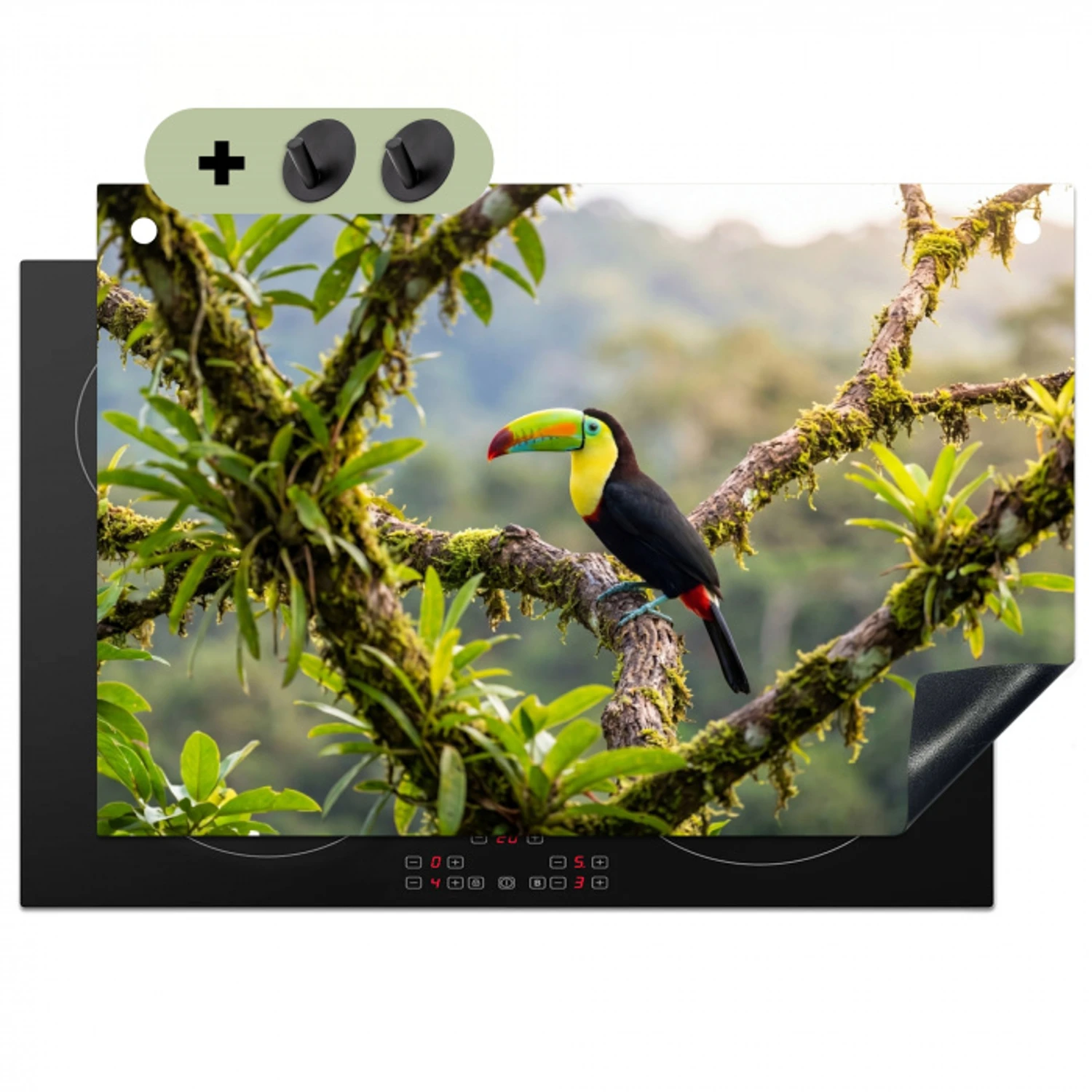 Toekan - Jungle - Natuur - Kleurrijk Inductie beschemer met haakjes klein -3d