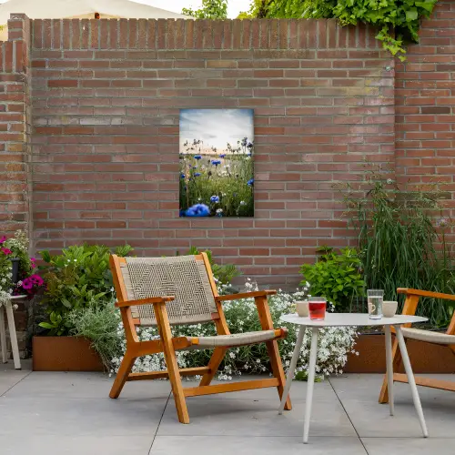 Korenbloemen bij zonsondergang Tuinposter op houten frame 2 cm dik klein -sfeer3