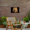 Leeuw in het avondlicht Tuinposter op houten frame 2 cm dik klein -sfeer3