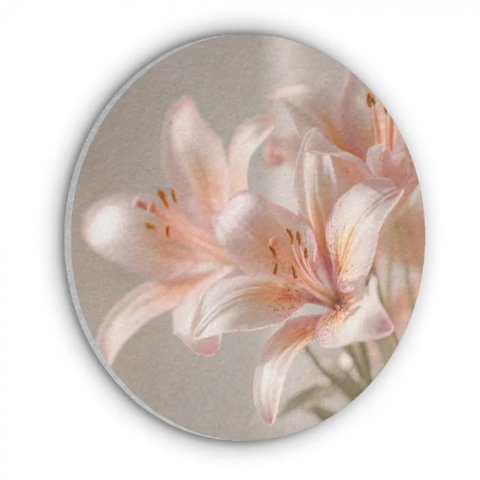 Lelies - Meeldraden - Roze - Wazig Akoestische PET Vilt - Rond klein -3d