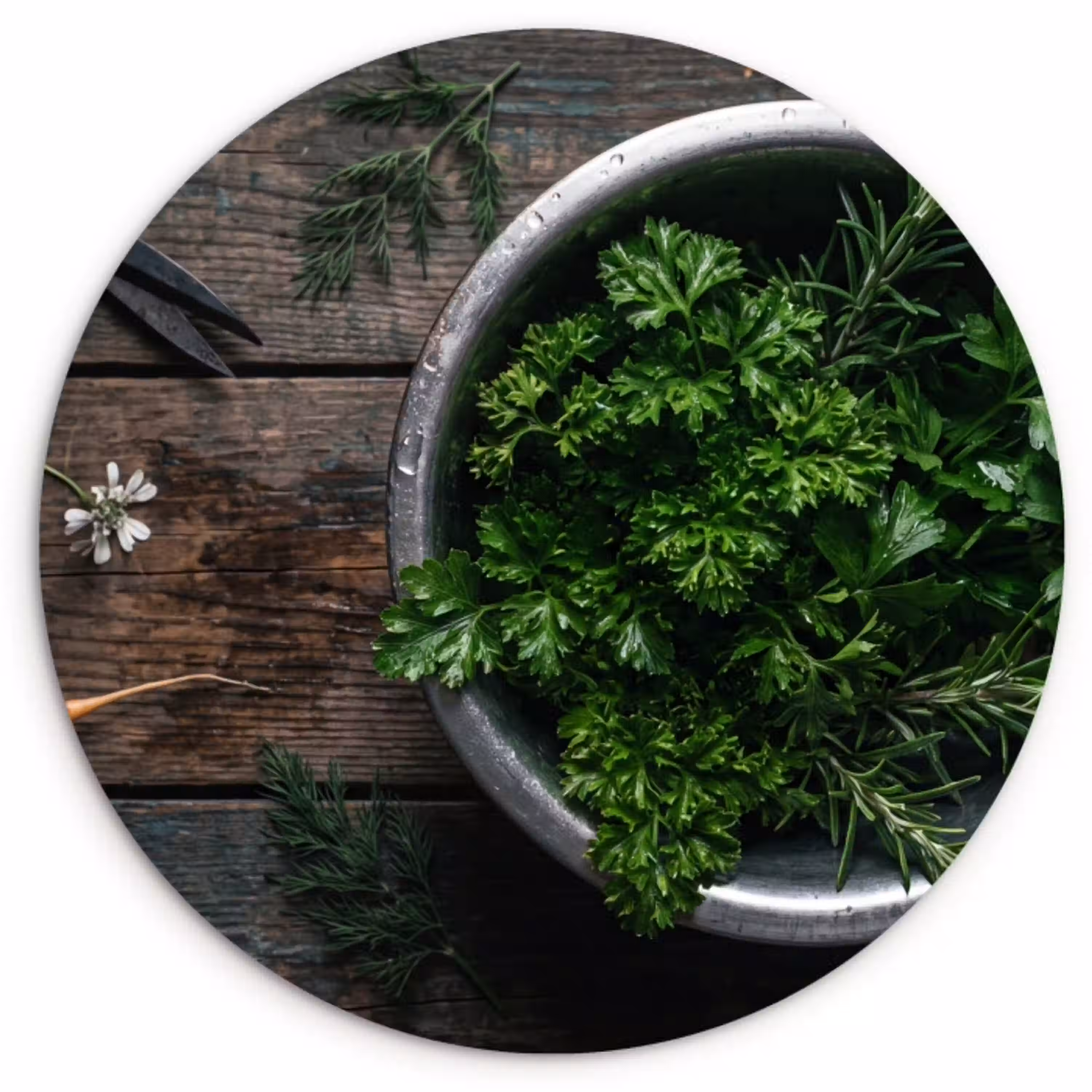 Groenten - Hout - Eten Wandcirkel plexiglas klein -3d
