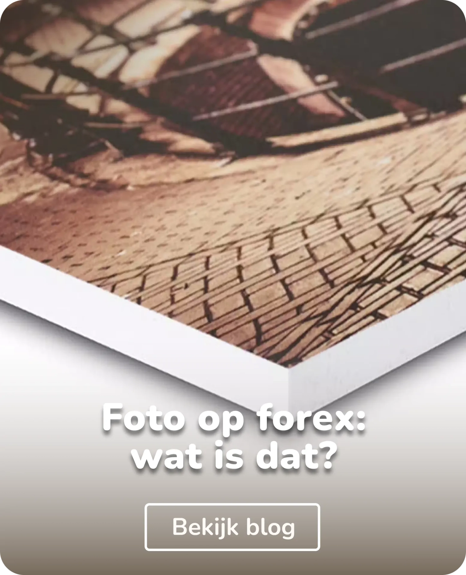 foto op forex