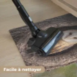 Kerkuil - Boom - Natuur - Bruin Deurmat klein -reinigen_FR