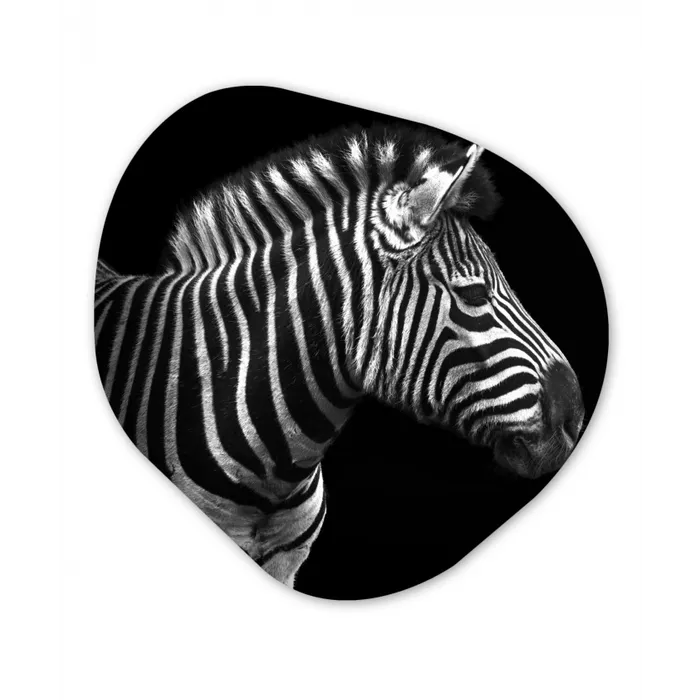 Zebra - Zwart - Wit - Portret - Dieren Wandcirkel Organisch Forex 3mm klein -3d