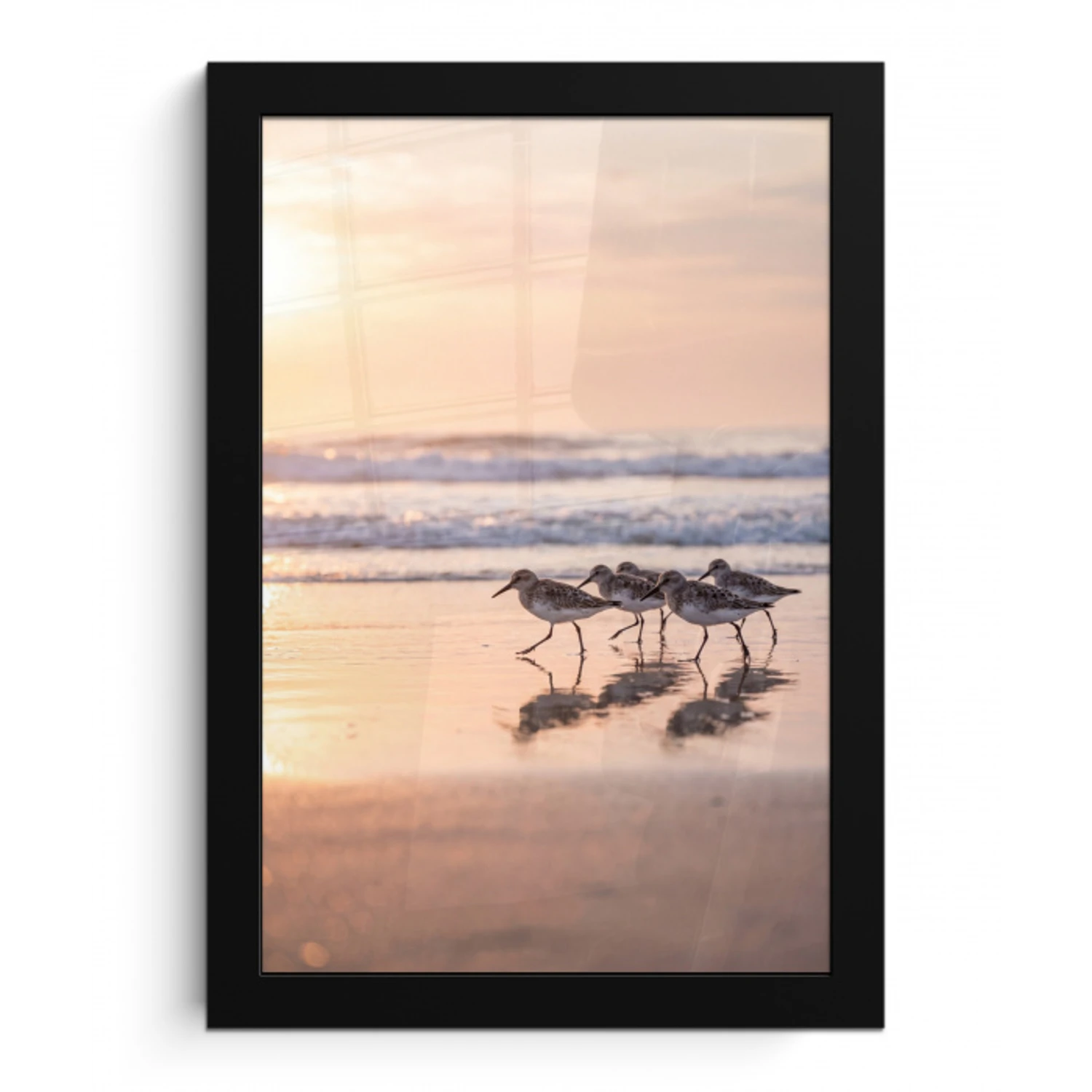 Zee - Vogels - Strand fotolijst zwart zonder passe partout klein -3d