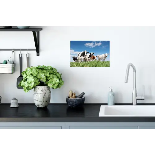 Koeien - Platteland - Weiland - Natuur - Dieren Muursticker klein -keuken