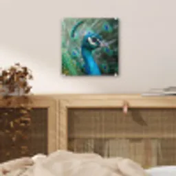 Pauw - Veren - Blauw plexiglas 5mm klein -sfeer4