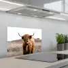 Schotse hooglander - Landschap - Koe - Bruin - Dieren - Natuur keuken achterwand spatscherm klein -3d_schuin