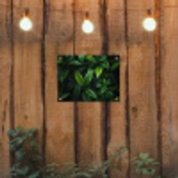 Bladeren - Regendruppels - Licht - Groen tuinposter los doek klein -sfeer1