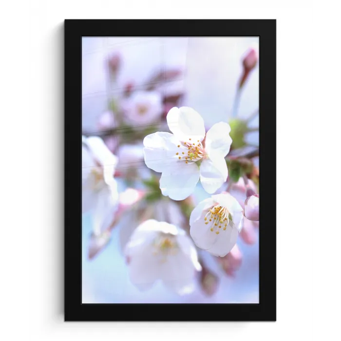 Bloemen - Sakura - Tak - Bloesem takken fotolijst zwart zonder passe partout klein -3d