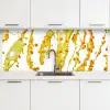 Oranje - Geel - Splash - Fruit keuken achterwand 2 middel -3d