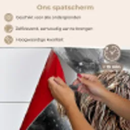 Schotse hooglander - Verf - Koe keuken achterwand spatscherm klein -spatscherm_NL