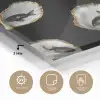 Oesters - Zwart - Vissen - Goud plexiglas 5mm klein -sfeer2