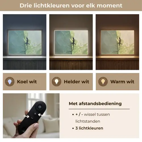 Hagedis - Blad - Nerven - Groen Light Box met batterij (Wandlamp) middel -USP_lichtkleurNL