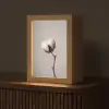 Katoenbol - Minimalistisch - Wit Light Box met kabel (Tafellamp) klein -z3d_website